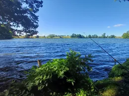 Krummer See (Friedrichswalde)-1