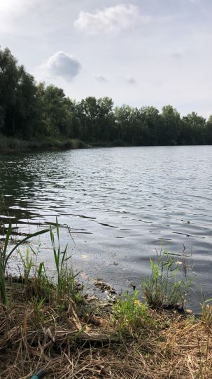 Mindener Vereinssee-2