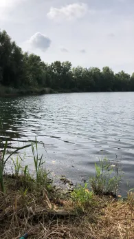 Mindener Vereinssee-2