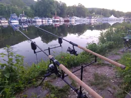 Mosel (Bernkastel-Kues)