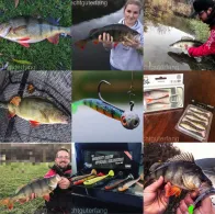 Mosel (Bernkastel-Kues)-4