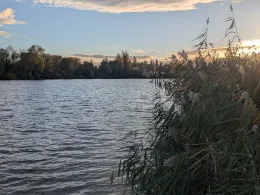 Jägerweiher (Altrip)