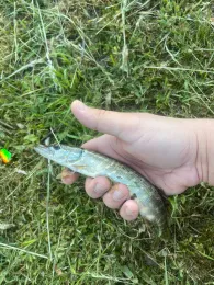 Mühlenteich (Hagenow)-1