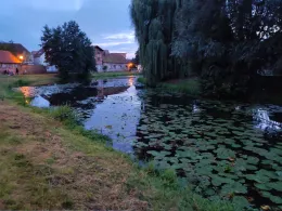 Mühlenteich (Hagenow)-4