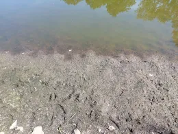 Großer und kleiner fauler See (Gevezin)-3