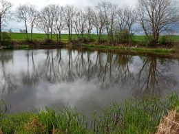 Großer und kleiner fauler See (Gevezin)-1