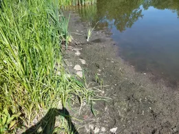 Großer und kleiner fauler See (Gevezin)-2