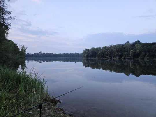 Auwaldsee (Lauingen)-4