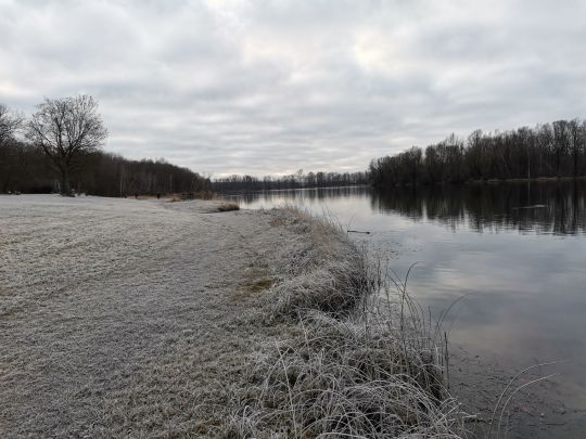 Auwaldsee (Lauingen)-2