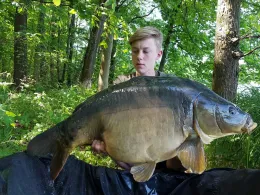 Auwaldsee (Lauingen)