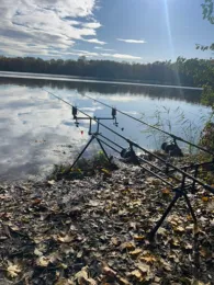 Auwaldsee (Lauingen)-1