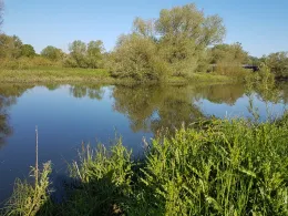 Jeetzel (Hitzacker)-4