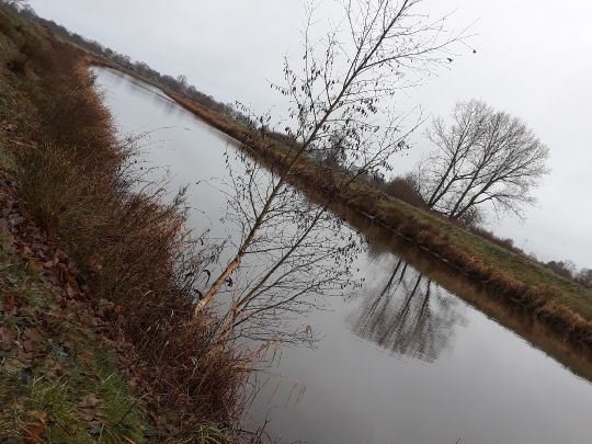 Sauteler Kanal (Neukamperfehn)-2