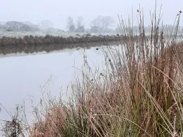 Sauteler Kanal (Neukamperfehn)