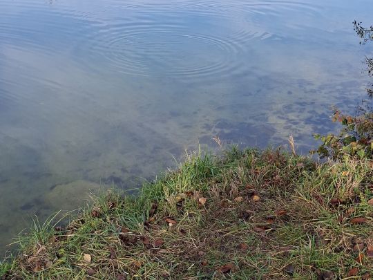 Markus-Rüb-Weiher-2