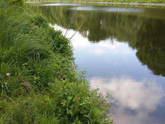 Elbe-Lübeck-Kanal (Mölln)-3