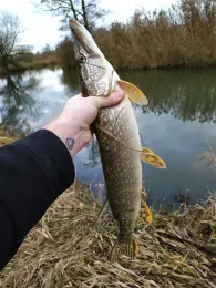 Vils (Frontenhausen)