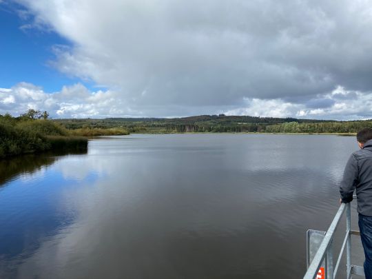 Jungferweiher (Ulmen)-1