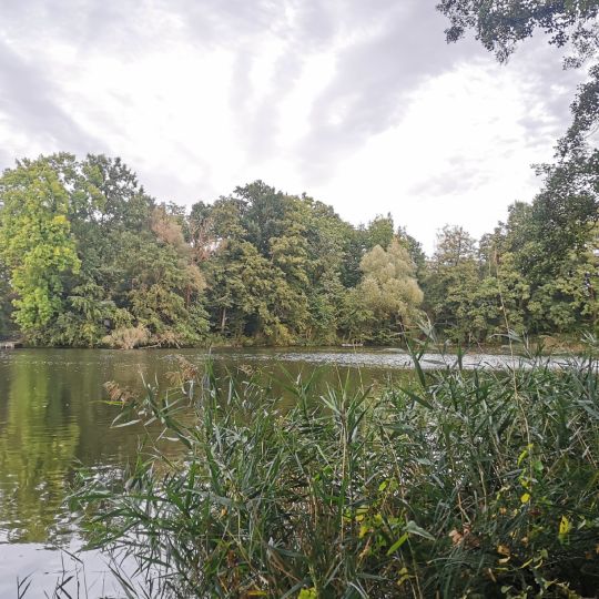 Müllersche Kiesgrube (Kummersdorf)-1