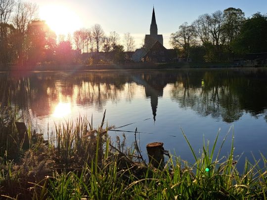 Mühlenteich (Friedland/Meckl.)-2