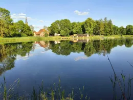 Mühlenteich (Friedland/Meckl.)-3