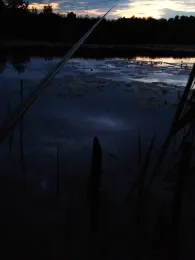 Mühlenteich (Friedland/Meckl.)-1