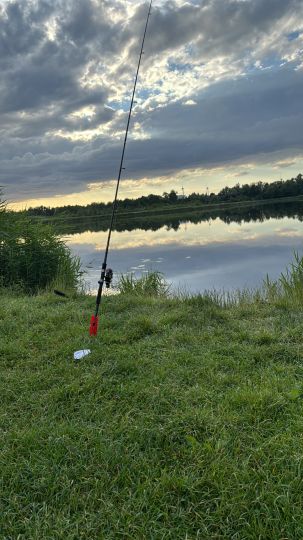 Mühlenteich (Friedland/Meckl.)-4