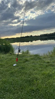 Mühlenteich (Friedland/Meckl.)-4