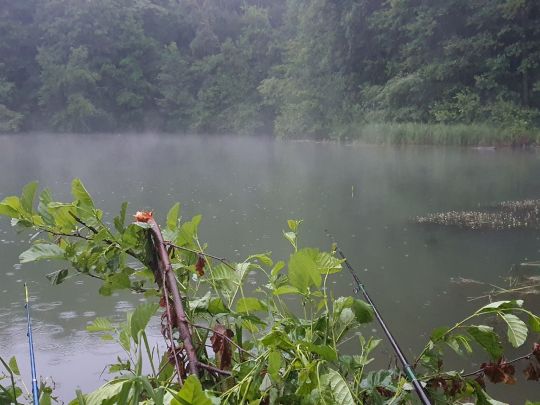 Matthiassee (Schwandorf) angeln