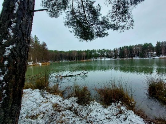 Matthiassee (Schwandorf)-1