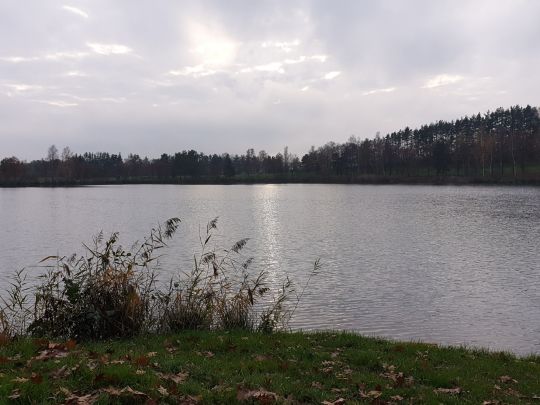 Matthiassee (Schwandorf) angeln
