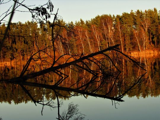 Matthiassee (Schwandorf)-2