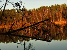 Matthiassee (Schwandorf)-2