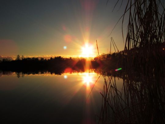 Matthiassee (Schwandorf)-4