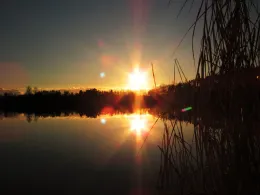 Matthiassee (Schwandorf)-4