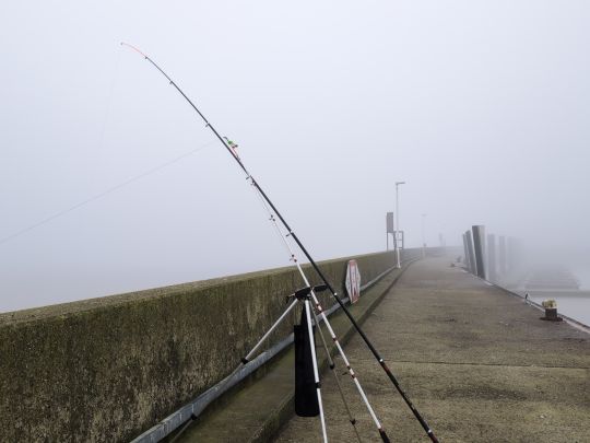 Nordsee (Wilhelmshaven)-2