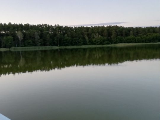 Thymensee ALLE ANGELN