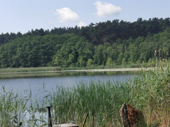 Thymensee ALLE ANGELN