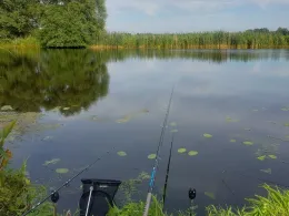 Gieselau (Osterrade)