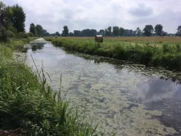 Schöpfteich Wulferstedt-0