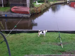 Großes Meer (Südbrookmerland)-0