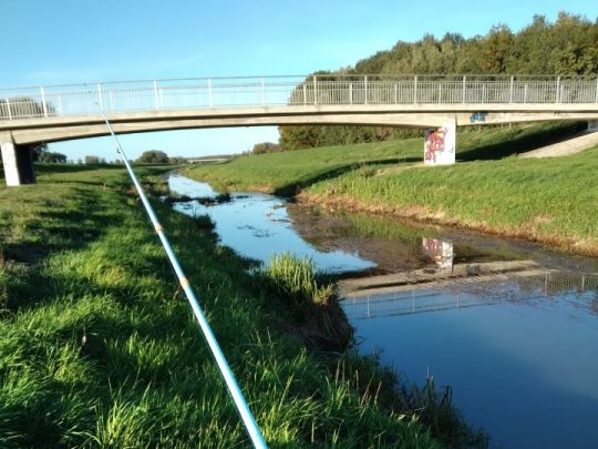 Geißlitz (Gröditz)-2