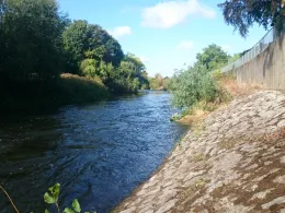 Rur (Hückelhoven-Hilfarth)-4