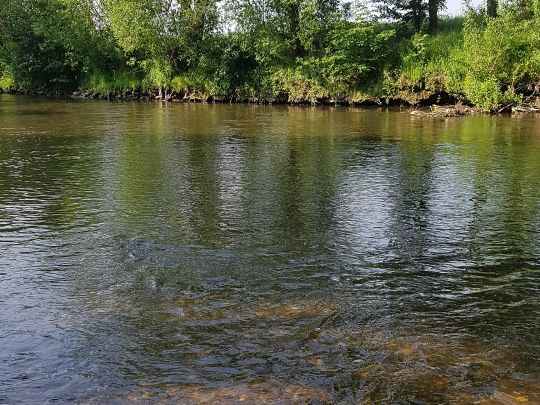 Rur (Hückelhoven-Hilfarth)-2