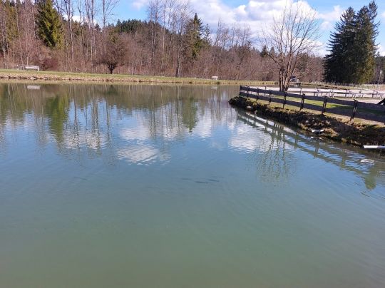 Fischzucht Loisachtal-1