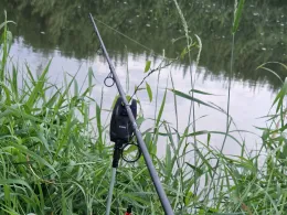 Unstrut (Riethgen-Griefstedt)-3