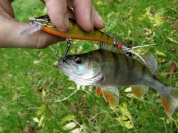 Unstrut (Riethgen-Griefstedt)-2