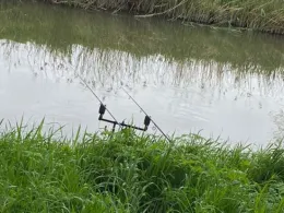 Unstrut (Riethgen-Griefstedt)-1