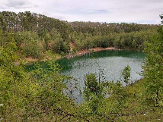 Böhmerteich (Sommersdorf)