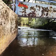 Queich (Offenbach/Queich)